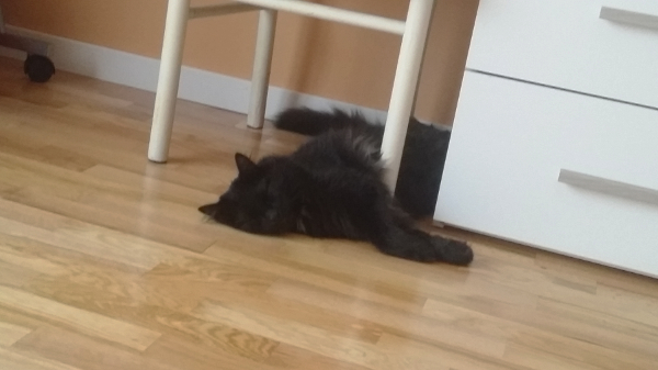 prezzo e costi lamatura, levigatura, verniciatura, posa e cambio colore parquet Milano